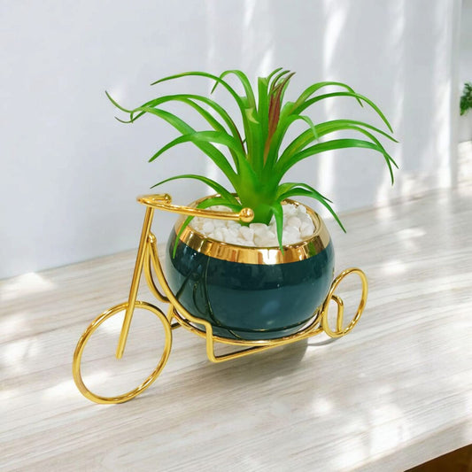 Flower Pot